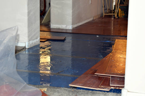 Professional Basement Flood Cleanup technician working in Washington, ME